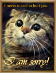 Card #66