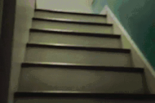 Pug Plops Up The Stairs #1