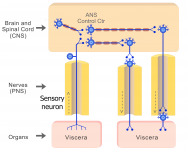 Neuron #5