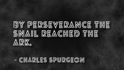 Perseverance #13