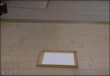 Fat cat box lid #1