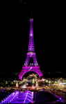 Torre Eiffel #86