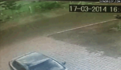 Pretty Good Recovery From a Traffic Accident #1