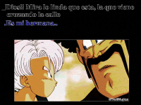 Trunks #1