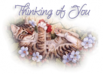 Thinking #17