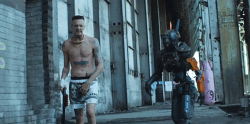 Antwoord #4