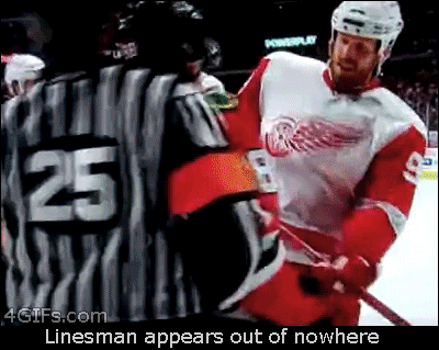 Forgifs.com, Hockey linesman appears