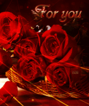 Rose #6