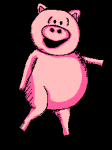 Pig #51