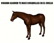 Caballo #7