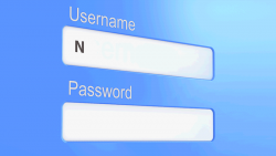 Passwords #13
