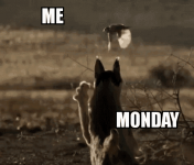 Monday #7