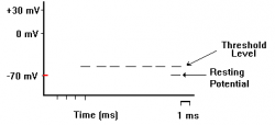 Depolarization #2