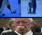 Pingüino #1