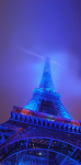 Torre Eiffel #61