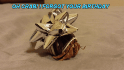 Forgot #25