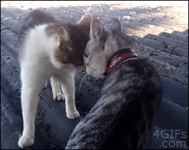 That Escalated Quickly #1