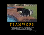 Teamwork #4