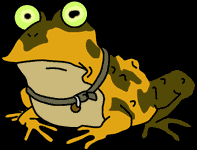 Hypnotoad #1