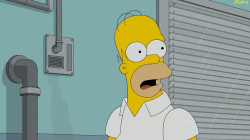 Simpson #49